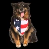 American Flag Dog Bandana by Dog Fashion Living