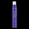 Artero Big Bang Volumizing Texturizing Spray