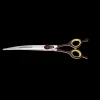Avanti Comfort Plus 8.5" Curved Even Handle Shear by Geib