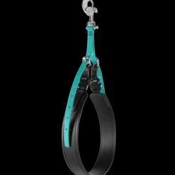 AXL Belly Band Teal With Three Sizes by Alpha Grooming