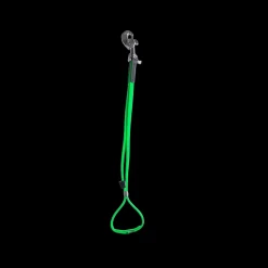 AXL Loop in Lime by Alpha Grooming