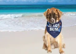Beach Bum Dog Bandana by Dog Fashion Living
