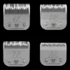Best-Selling Regular Blades Set of 4 by PetStore.Direct