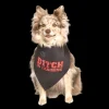 Bitch in Training Dog Bandana by Dog Fashion Living