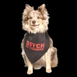 Bitch in Training Dog Bandana by Dog Fashion Living