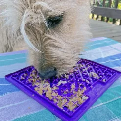Buddy for Dogs Purple by LickiMat