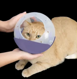 Cat and Flat Face Dog Air Muzzle