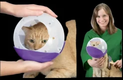 Cat and Flat Face Dog Air Muzzle