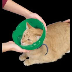 Cat and Small Dog E-Collar and Muzzle