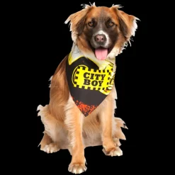 City Boy Dog Bandana by Dog Fashion Living