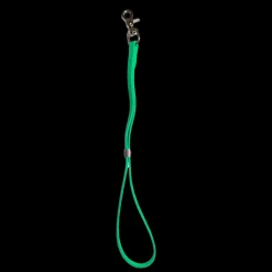 Classic Grooming Loop Lime by Alpha Grooming