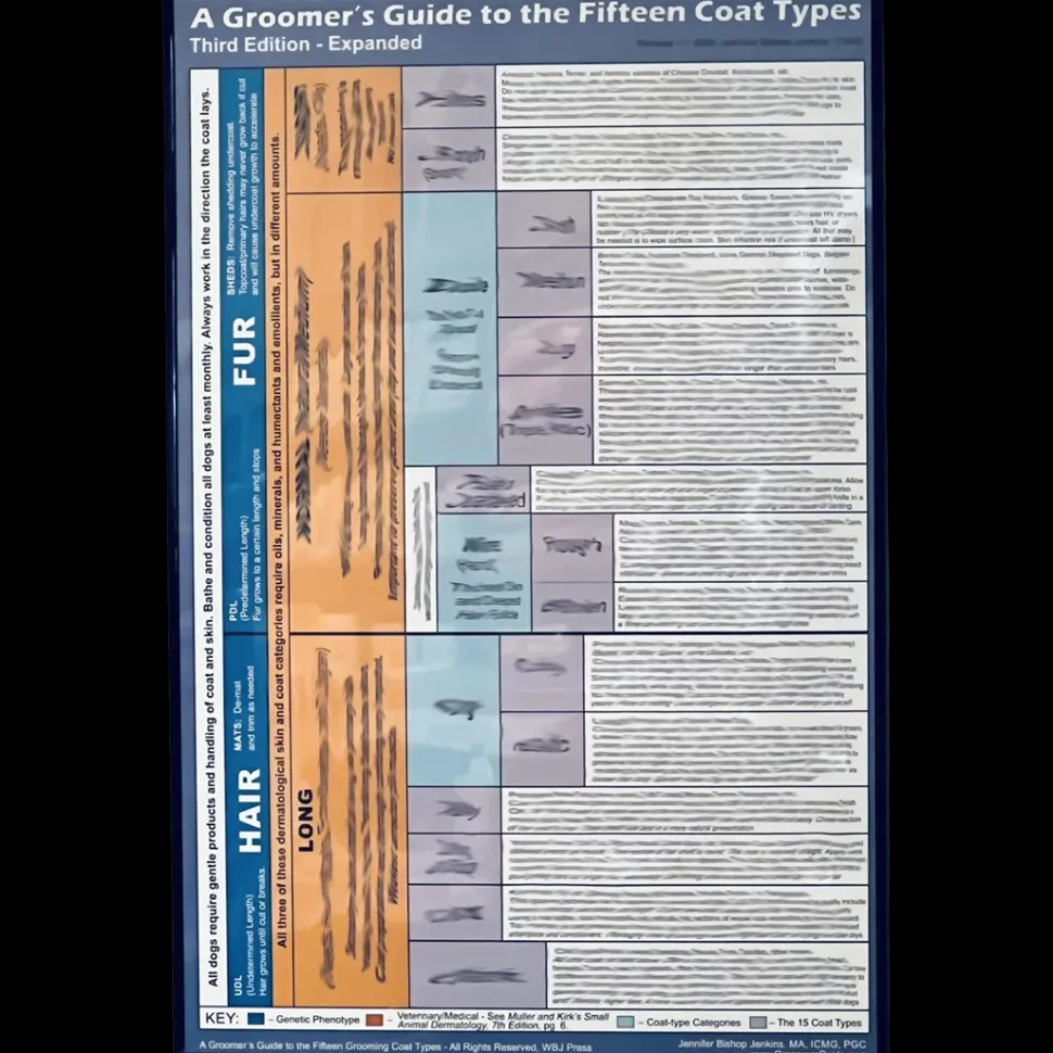 15 Coat Types Poster 24"x36" by Jennifer Bishop Jenkins