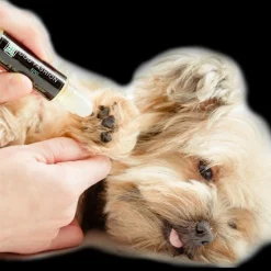 Dog Paw + Nose Moisturizer by Dog Fashion Spa