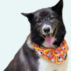 Doggie Bandanas - 60 Assorted Sizes and Patterns by Bandanas Unlimited