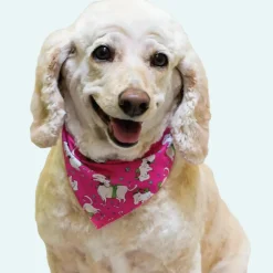 Doggie Bandanas - 60 Assorted Sizes and Patterns by Bandanas Unlimited