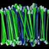 Dual-end Tooth Brushes 50 Count Green/Blue by PetStore.Direct