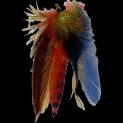 Feather Extension Blue McCaw (Pack of 10) by A Creative Collection