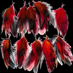 Feather Extension Flame (Pack of 10) by A Creative Collection
