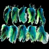 Feather Extension Teal and Green (Pack of 10) by A Creative Collection