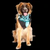 Got Drool? Dog Bandana by Dog Fashion Living