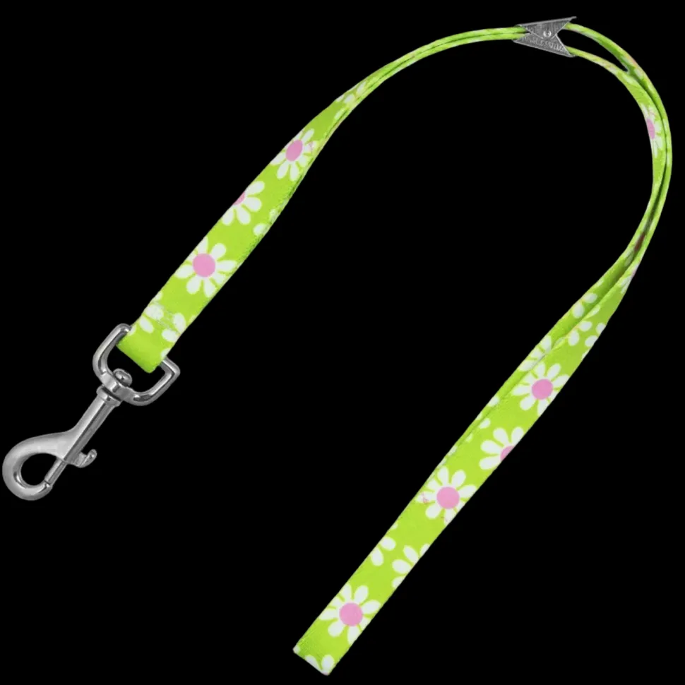 20" Green Daisy Grooming Loop by Loop Dawgy Dawg