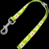 15" Green Daisy Grooming Loop by Loop Dawgy Dawg
