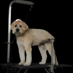 Groomer's Helper Professional Set