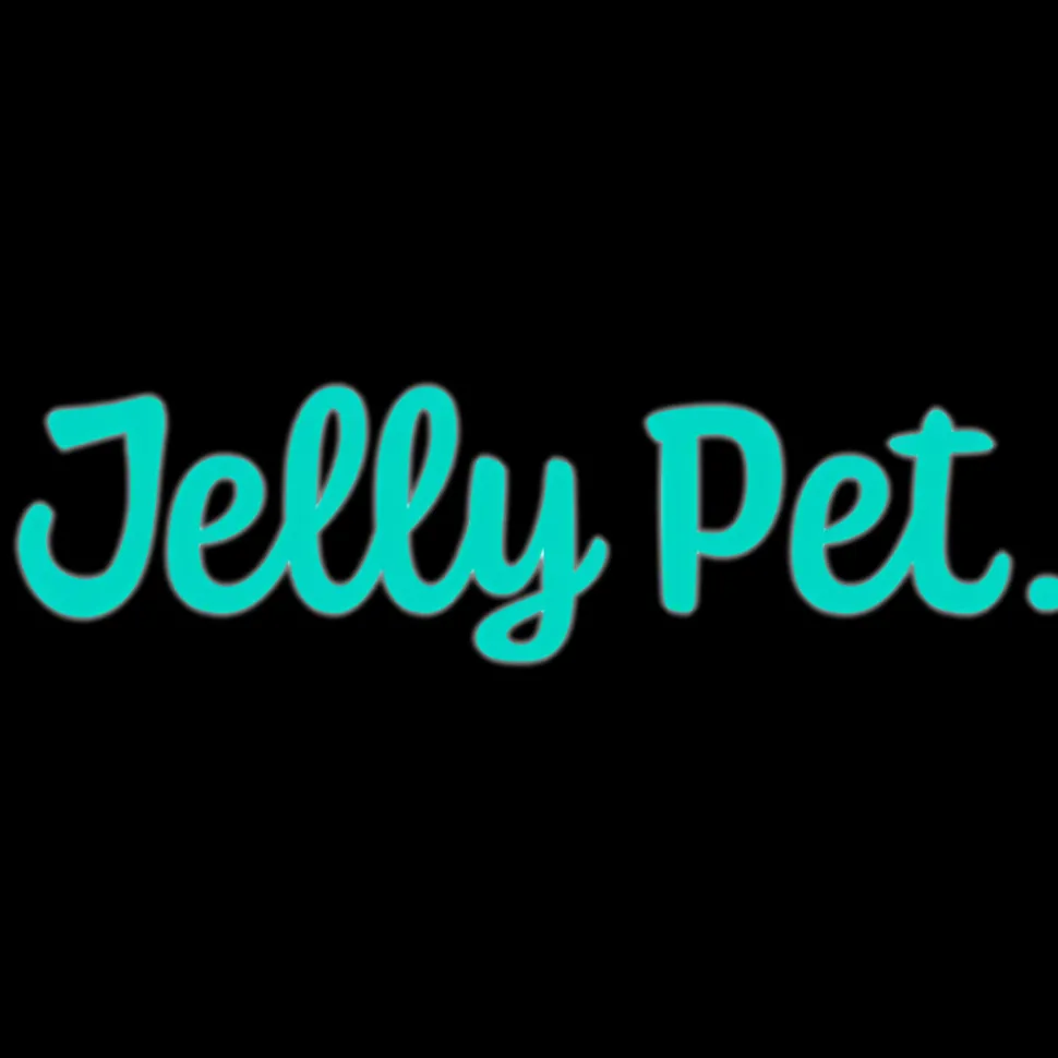 Grooming Loop 3/8"x24" With Ring Lime Green by Jelly Pet