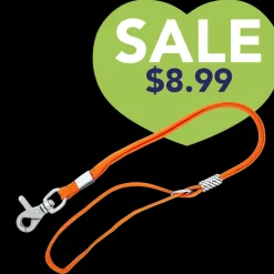 Grooming Noose in Orange by Aeolus