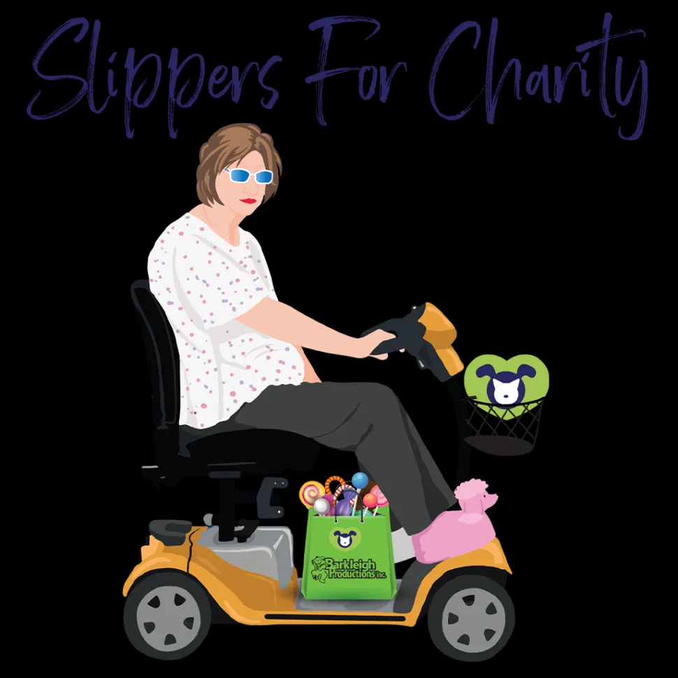 Gwen's Bundle of Three Slippers For Charity