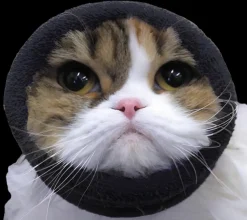 Happy Hoodie Black Extra Small