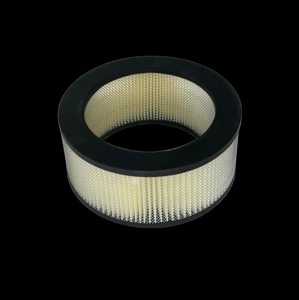 Heavy Duty Assembly Replacement Filter by Electric Cleaner
