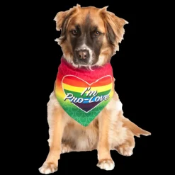 I'm Pro Love LGBTQ Dog Bandana by Dog Fashion Living