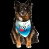 Jesus Loves Me Christian Dog Bandana by Dog Fashion Living