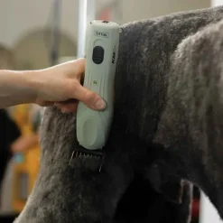 KMC+ 2 Speed Cordless Clipper Sage by Wahl