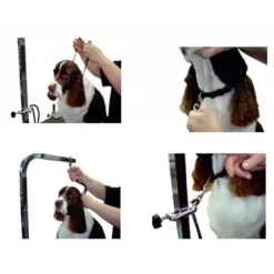 5/8
