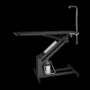 MasterLift Hydraulic Grooming Table with Rotating Post by PetLift