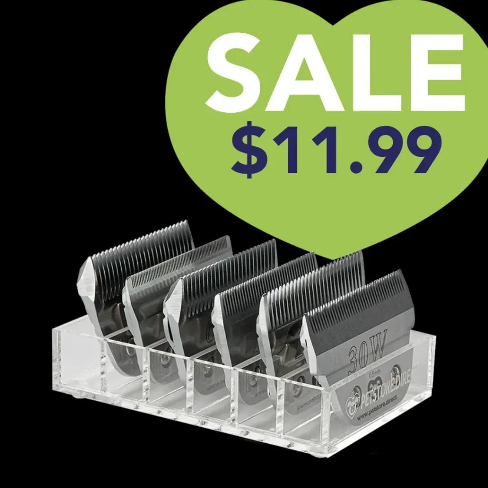 Mini Wide 6 Blade Holder Clear by PetStore.Direct
