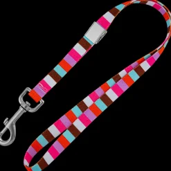 20" Multi Stripe Grooming Loop by Loop Dawgy Dawg