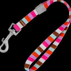 15" Multi Stripe Grooming Loop by Loop Dawgy Dawg