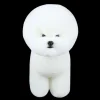 Mural Bichon Frise Wig by Artero