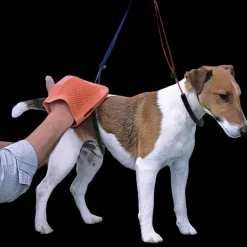 No-Sit Haunch Holder Regular by Proguard