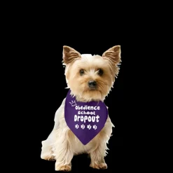 Obedience School Dropout by Dog Fashion Living
