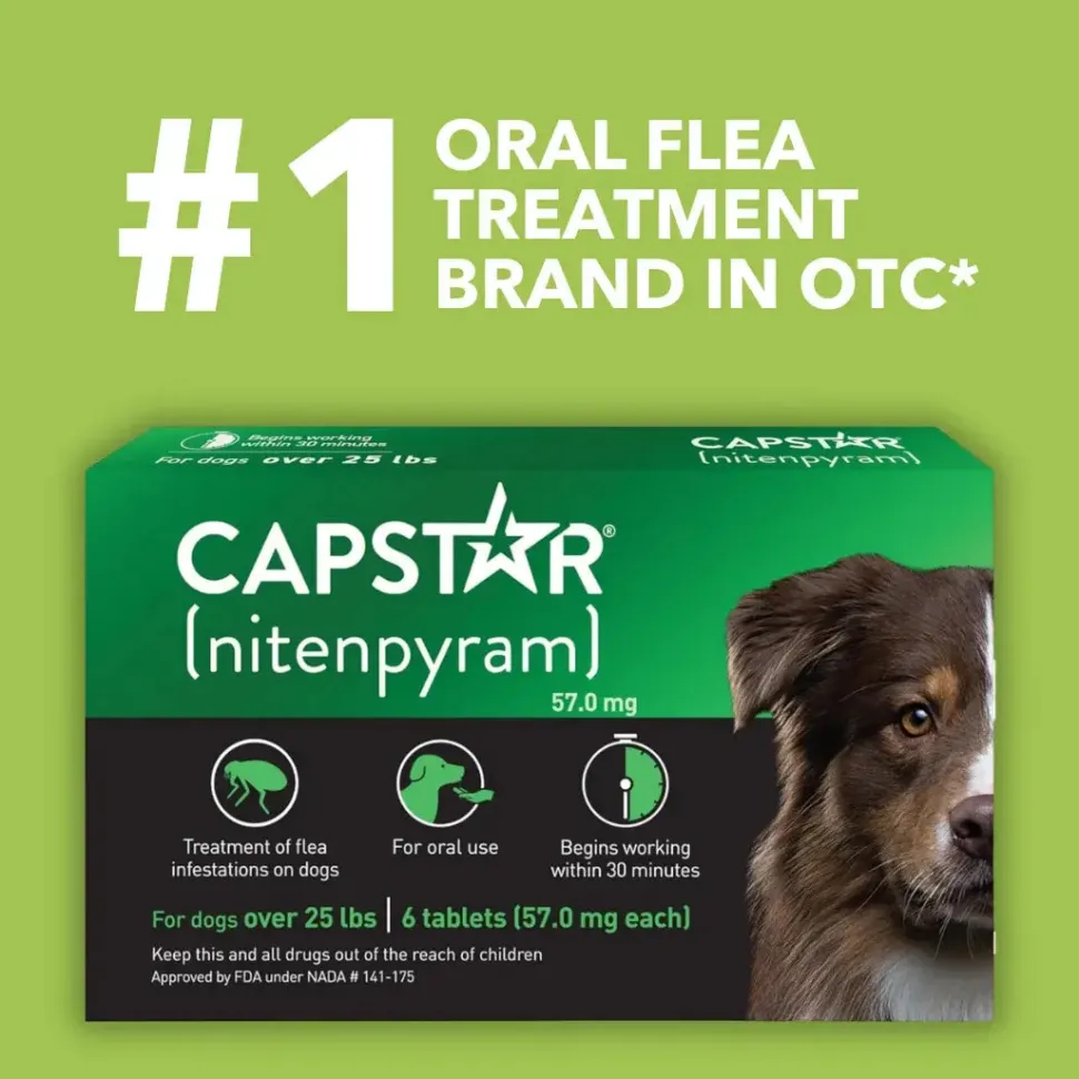Pack of 6 Tablet For Flea Infestations Over 25Lb Dogs by Capstar
