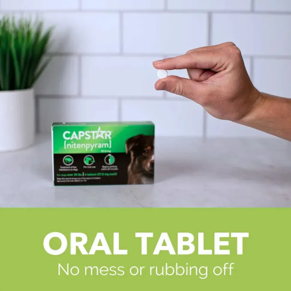 Pack of 6 Tablet For Flea Infestations Over 25Lb Dogs by Capstar
