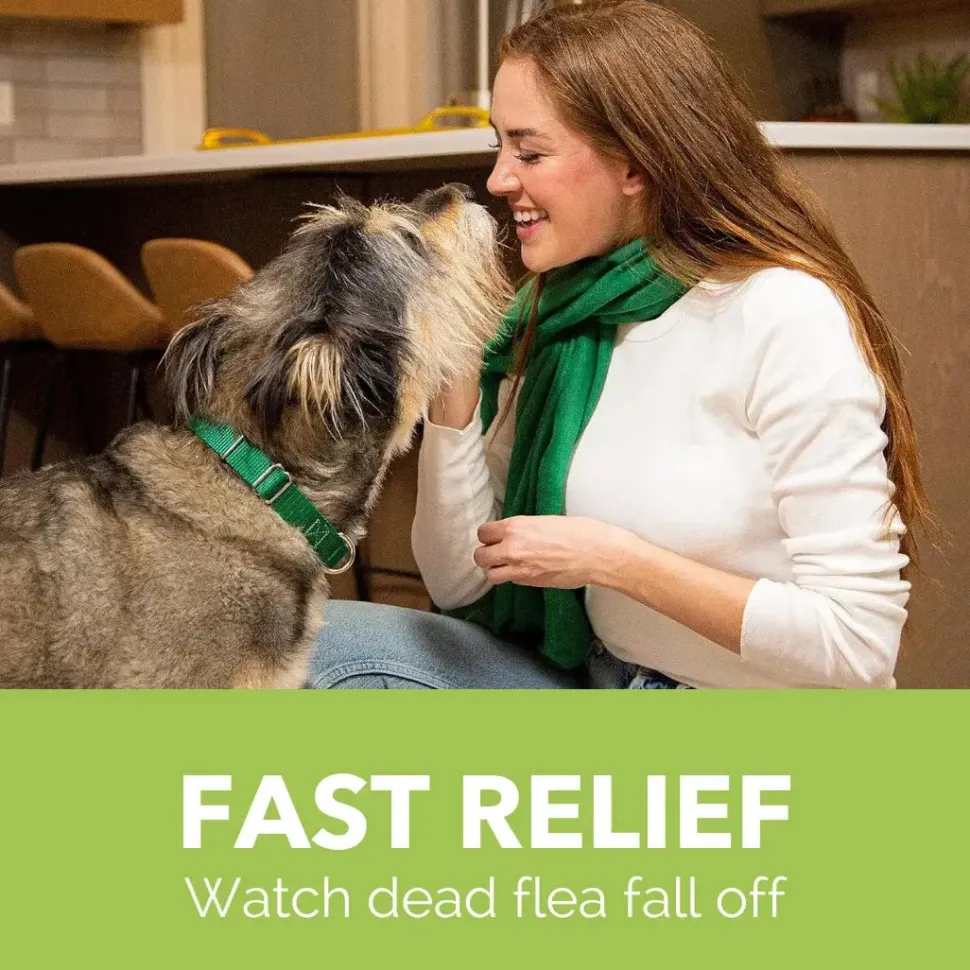 Pack of 6 Tablet For Flea Infestations Over 25Lb Dogs by Capstar