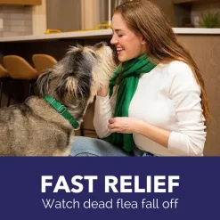 Pack of 6 Tablet For Flea Infestations Under 25Lb Dogs by Capstar