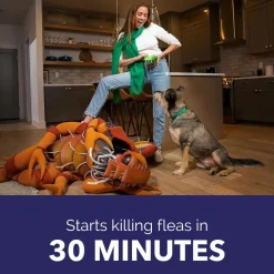 Pack of 6 Tablet For Flea Infestations Under 25Lb Dogs by Capstar
