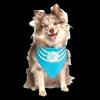 Pearl Fashion Wedding Dog Bandana by Dog Fashion Living