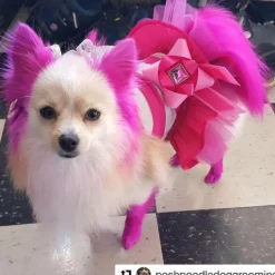 Permanent Dog Hair Dye Adorable Pink 8oz by Opawz